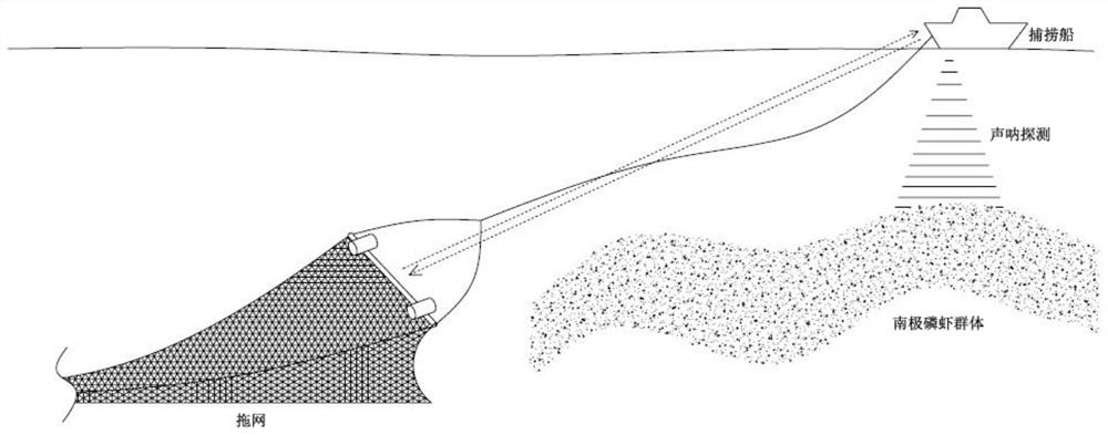 An Antarctic krill trawl targeting method based on detection of shrimp population density