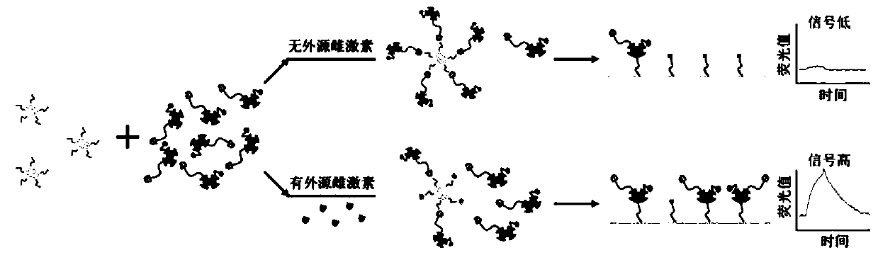 A biosensing assay method for detecting estrogen-binding activity in water samples