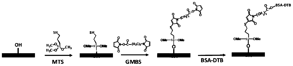 A biosensing assay method for detecting estrogen-binding activity in water samples