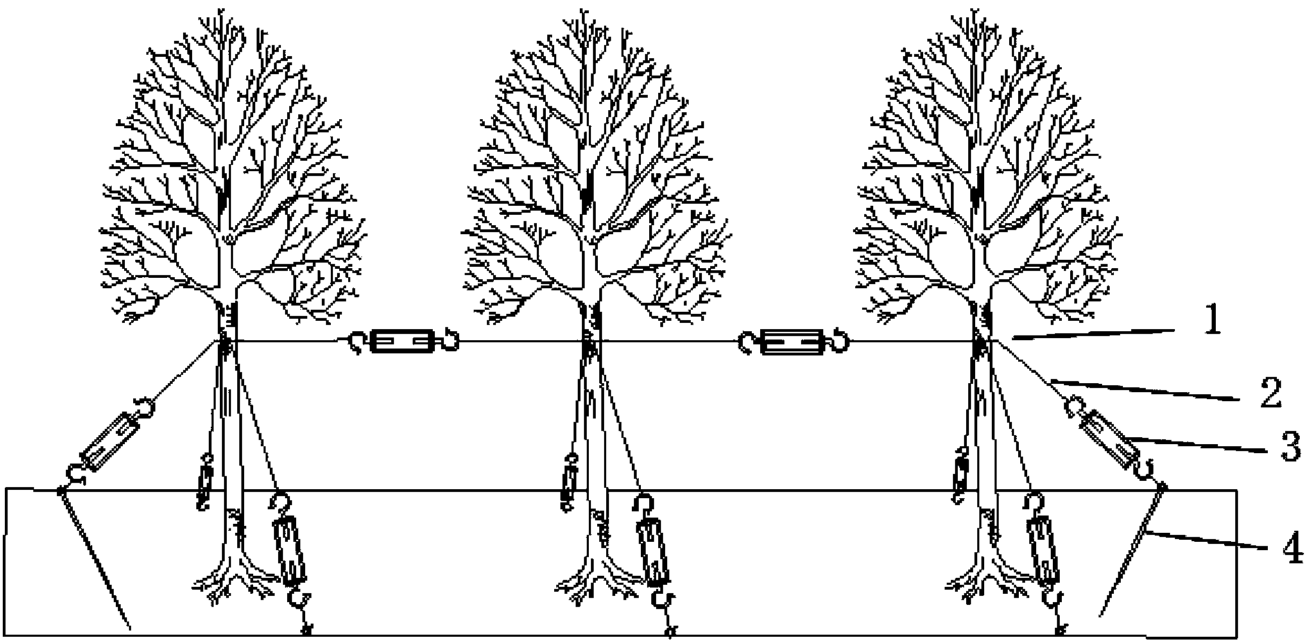 Street tree lodging-resistant rope-connecting support
