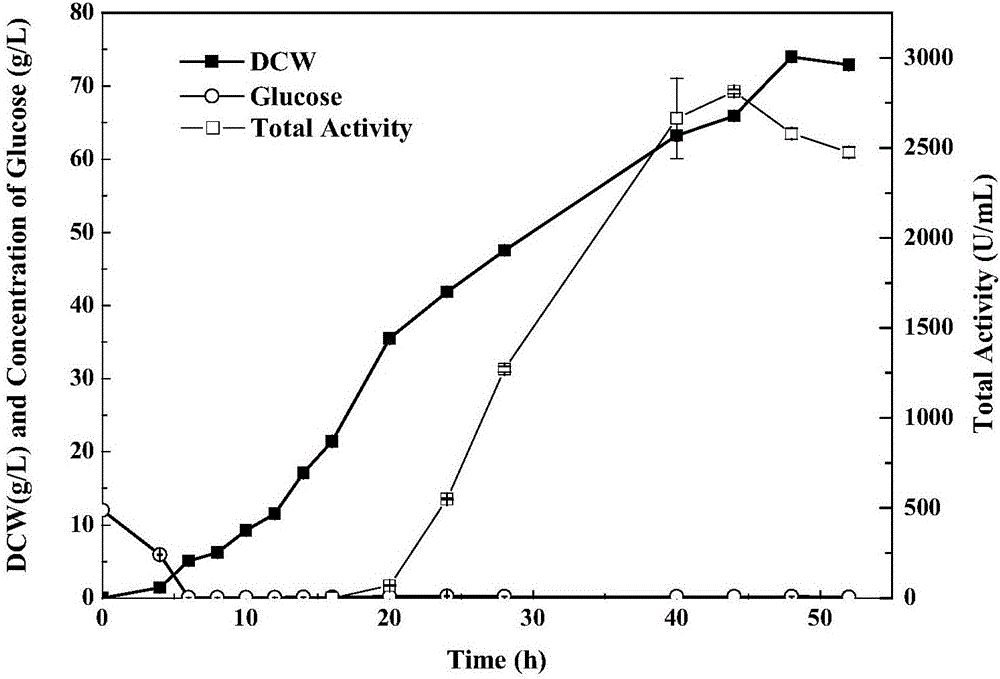 Method for synthesizing nicotinamide under catalytic effect of high-molecular-weight nitrile hydratase engineering bacteria