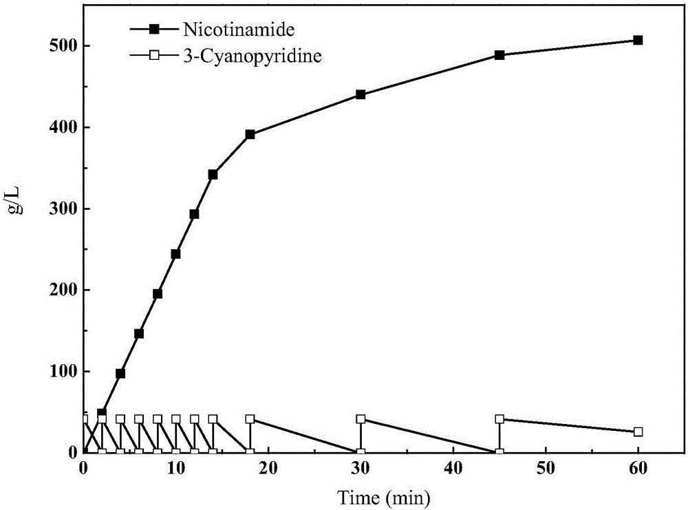 Method for synthesizing nicotinamide under catalytic effect of high-molecular-weight nitrile hydratase engineering bacteria