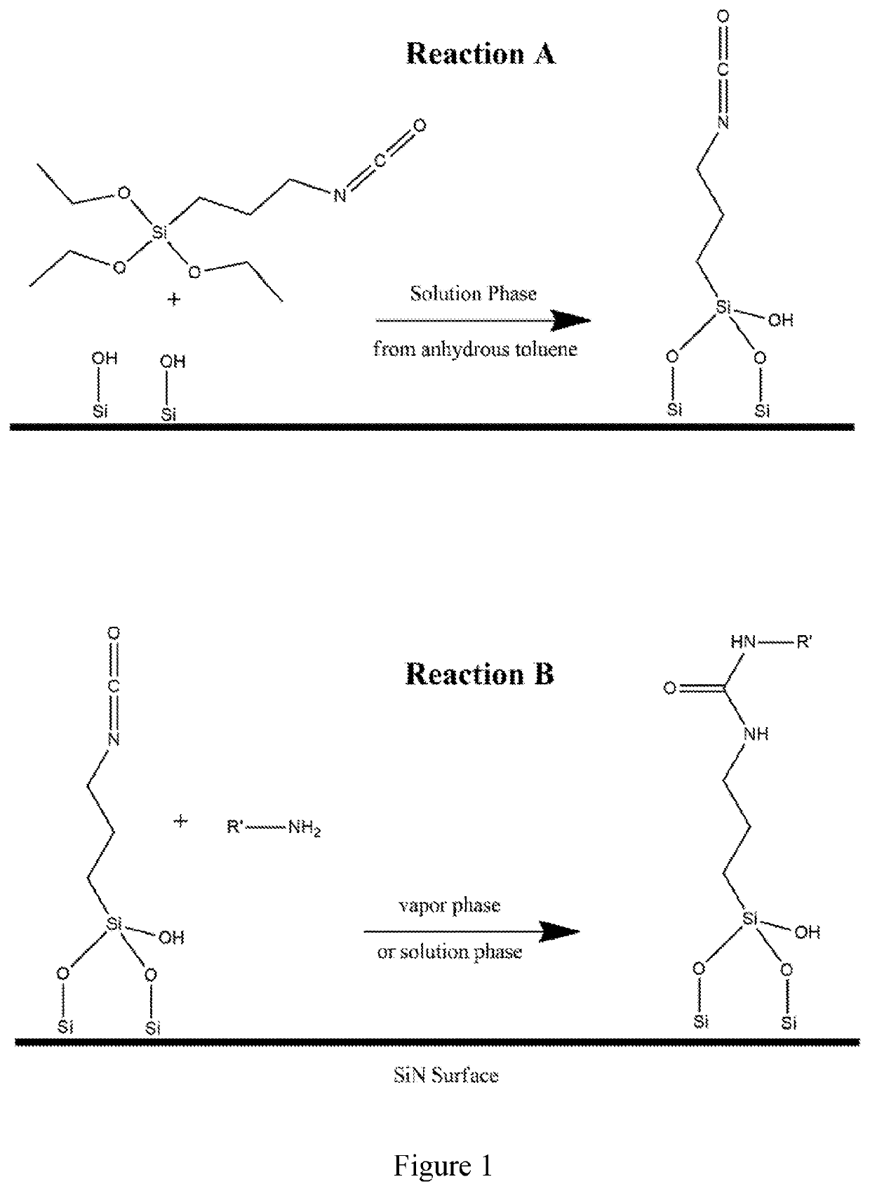 Functionalized silicon nanomembranes and uses thereof