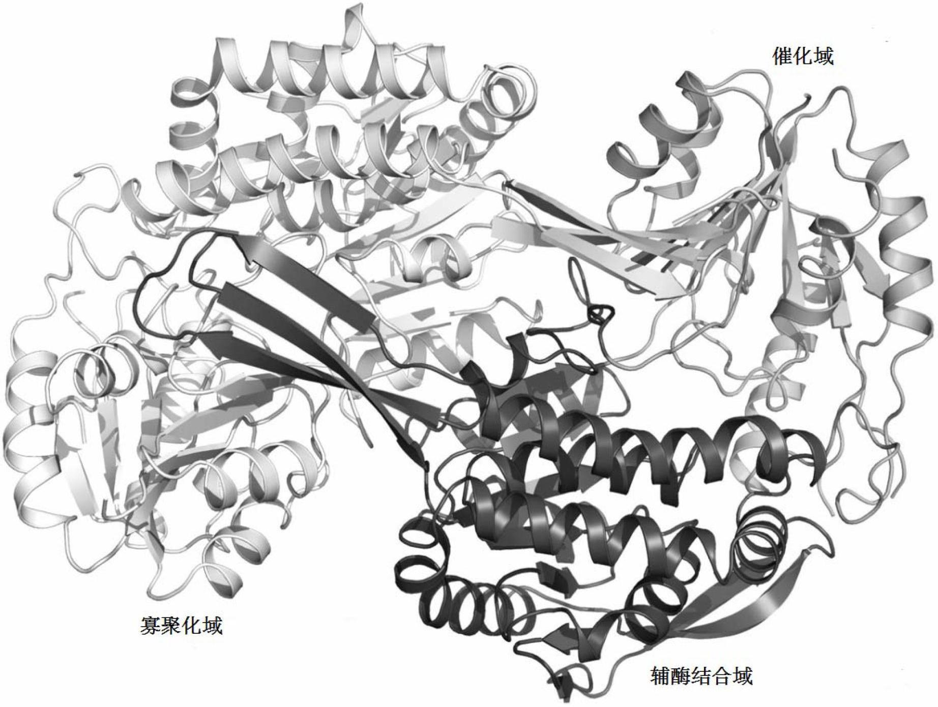 Thermophilic long-chain alkyl aldehyde dehydrogenase and crystal structure thereof