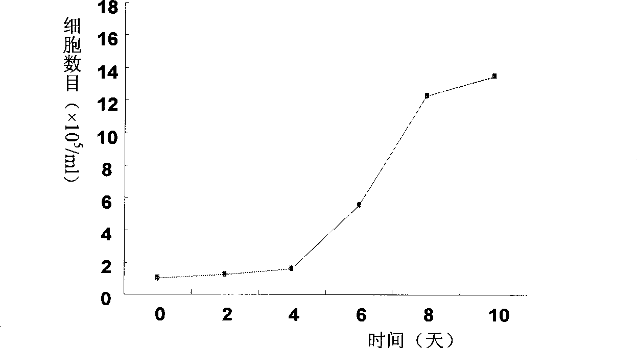 Natural killer cell and cultivation method thereof