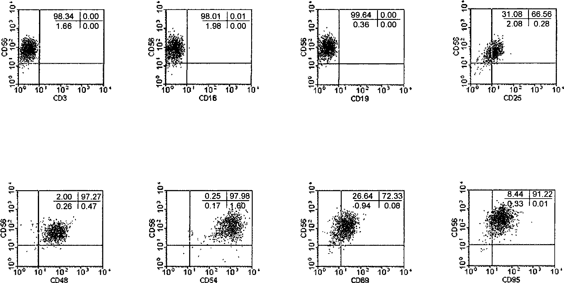 Natural killer cell and cultivation method thereof