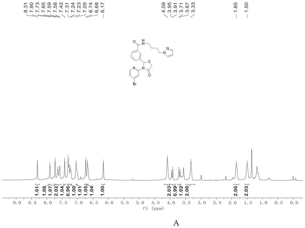 3-(3-(heteroaryl)-4-thiazolinone)-N-aryl benzamide compound and synthesis and application thereof