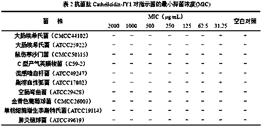 Antimicrobial peptide, coding sequence and preparation method