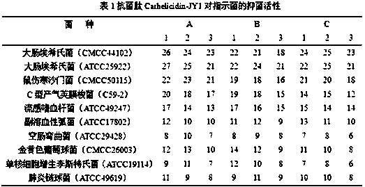 Antimicrobial peptide, coding sequence and preparation method