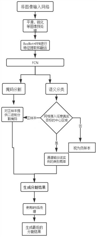 Target fruit instance segmentation method and system