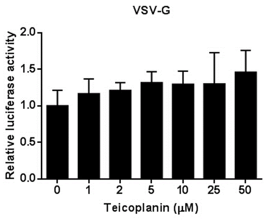 Application of teicoplanin in preparation of drugs for Middle East respiratory syndrome coronavirus