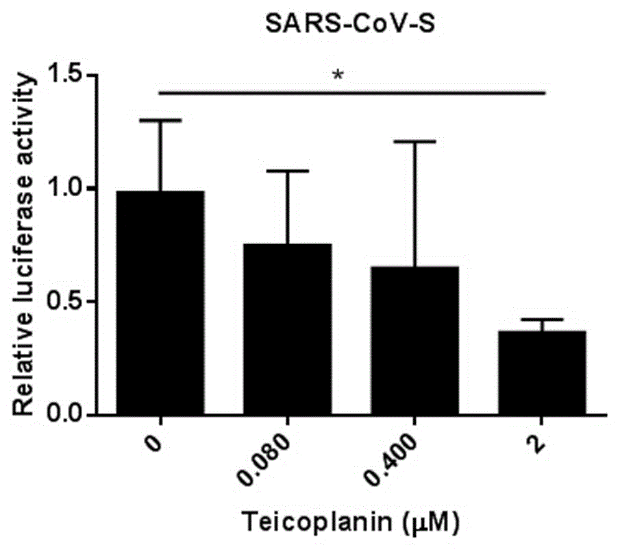 Application of teicoplanin in preparation of drugs for Middle East respiratory syndrome coronavirus