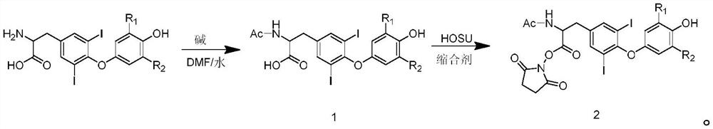 Preparation method of hapten acetyl iodothyroxine active coupling reagent