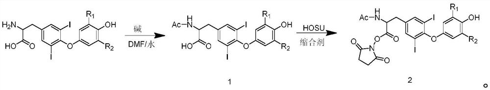 Preparation method of hapten acetyl iodothyroxine active coupling reagent