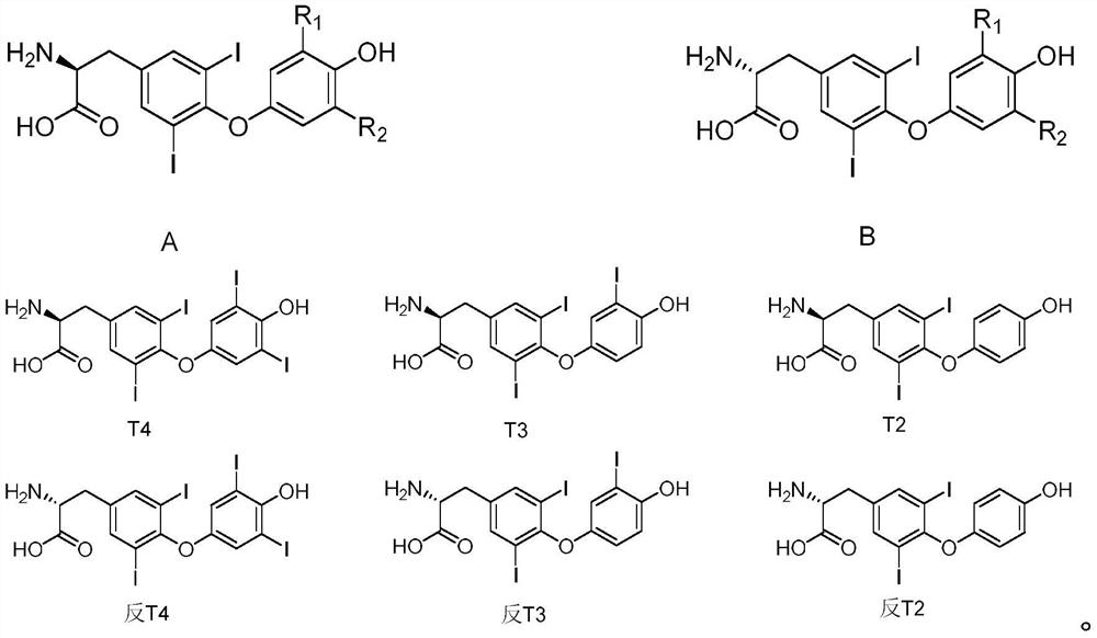 Preparation method of hapten acetyl iodothyroxine active coupling reagent