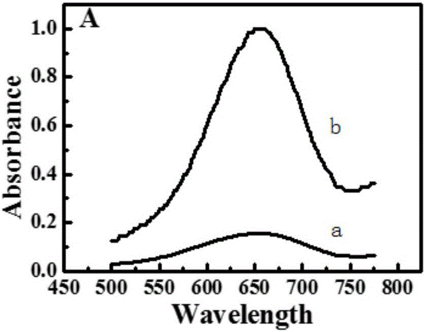 Detection method of alkaline phosphatase