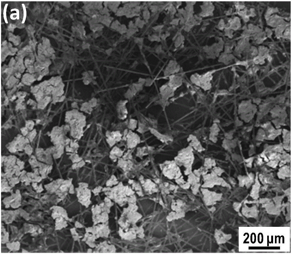 Zirconium diboride-based composite material toughened by colloid-dispersed chopped carbon fibers and preparation method thereof