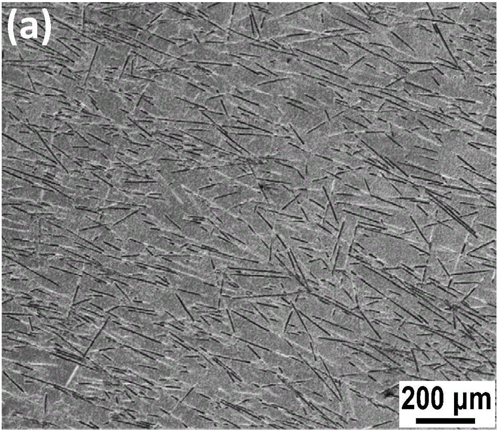 Zirconium diboride-based composite material toughened by colloid-dispersed chopped carbon fibers and preparation method thereof
