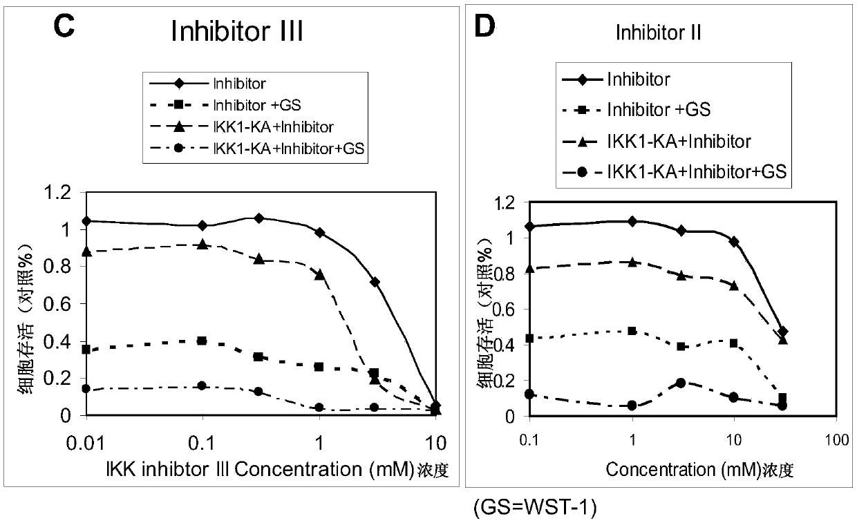 Targets for treating tumors