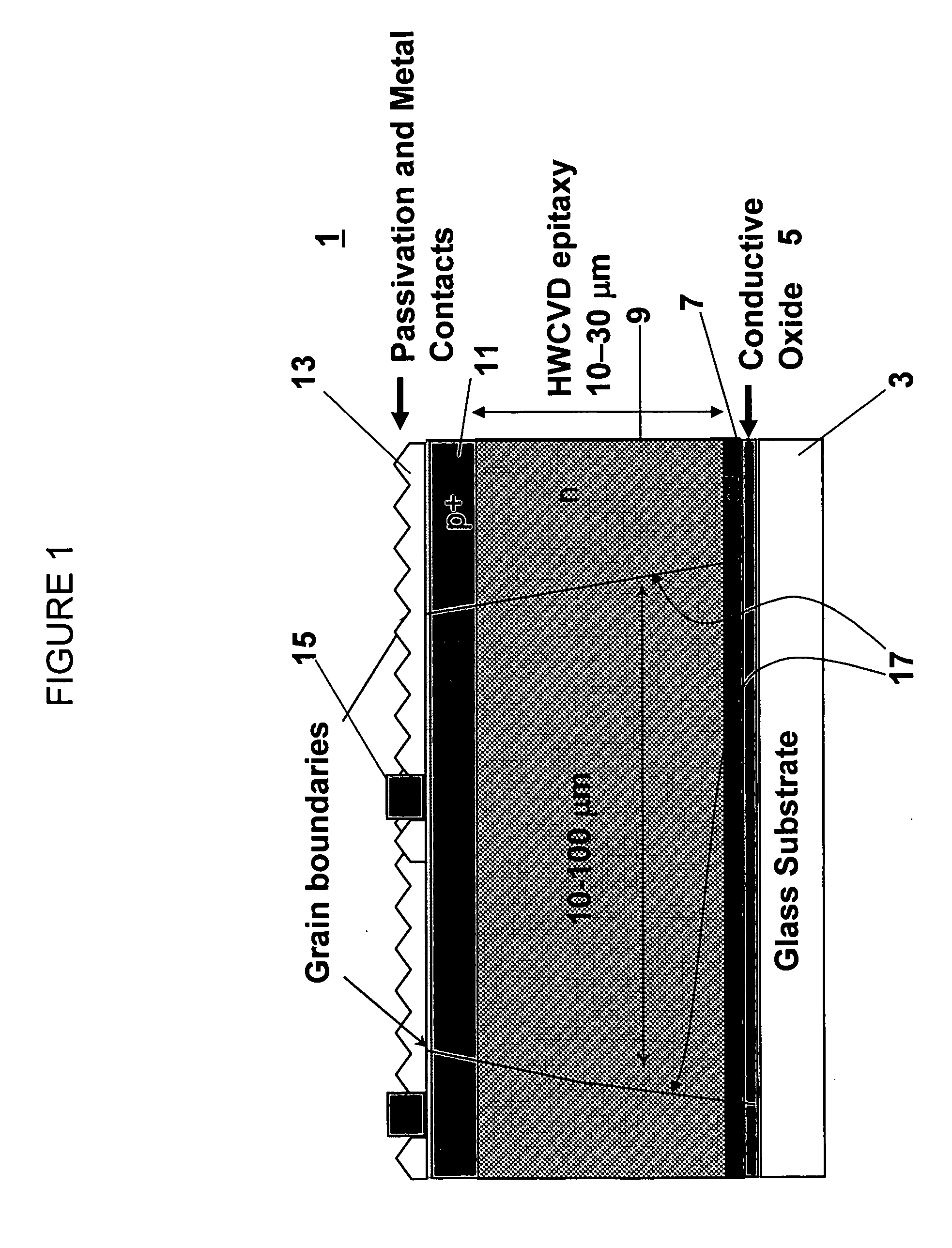Large grained polycrystalline silicon and method of making same