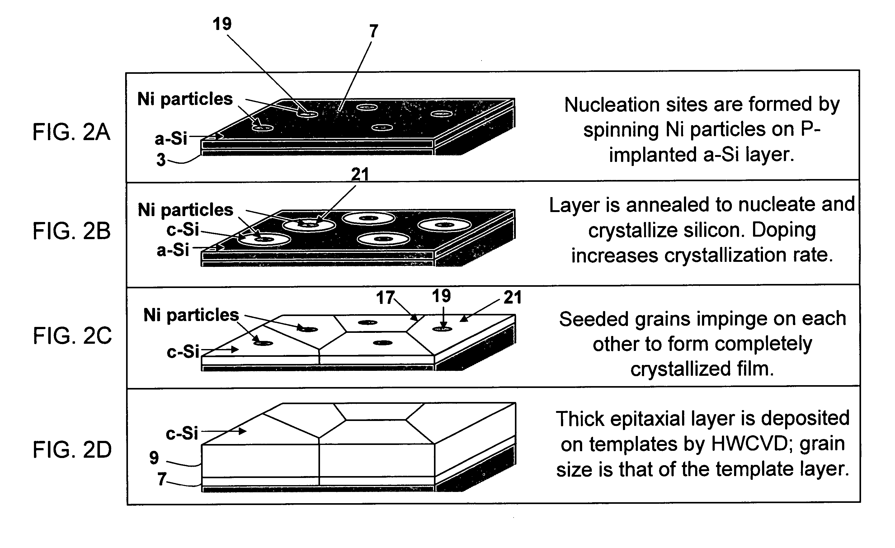 Large grained polycrystalline silicon and method of making same