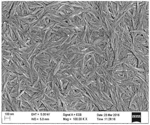 Nano-cellulose whisker MoS2/graphene composite counter electrode material and preparation method and application thereof