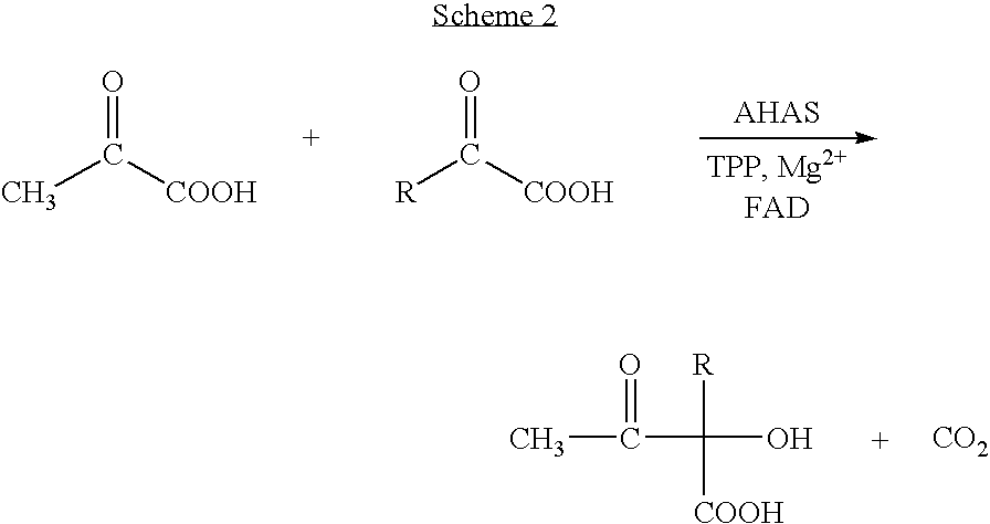 Process for preparing chiral aromatic alpha-hydroxy ketones using 2-hydroxy-3-oxoacid synthase