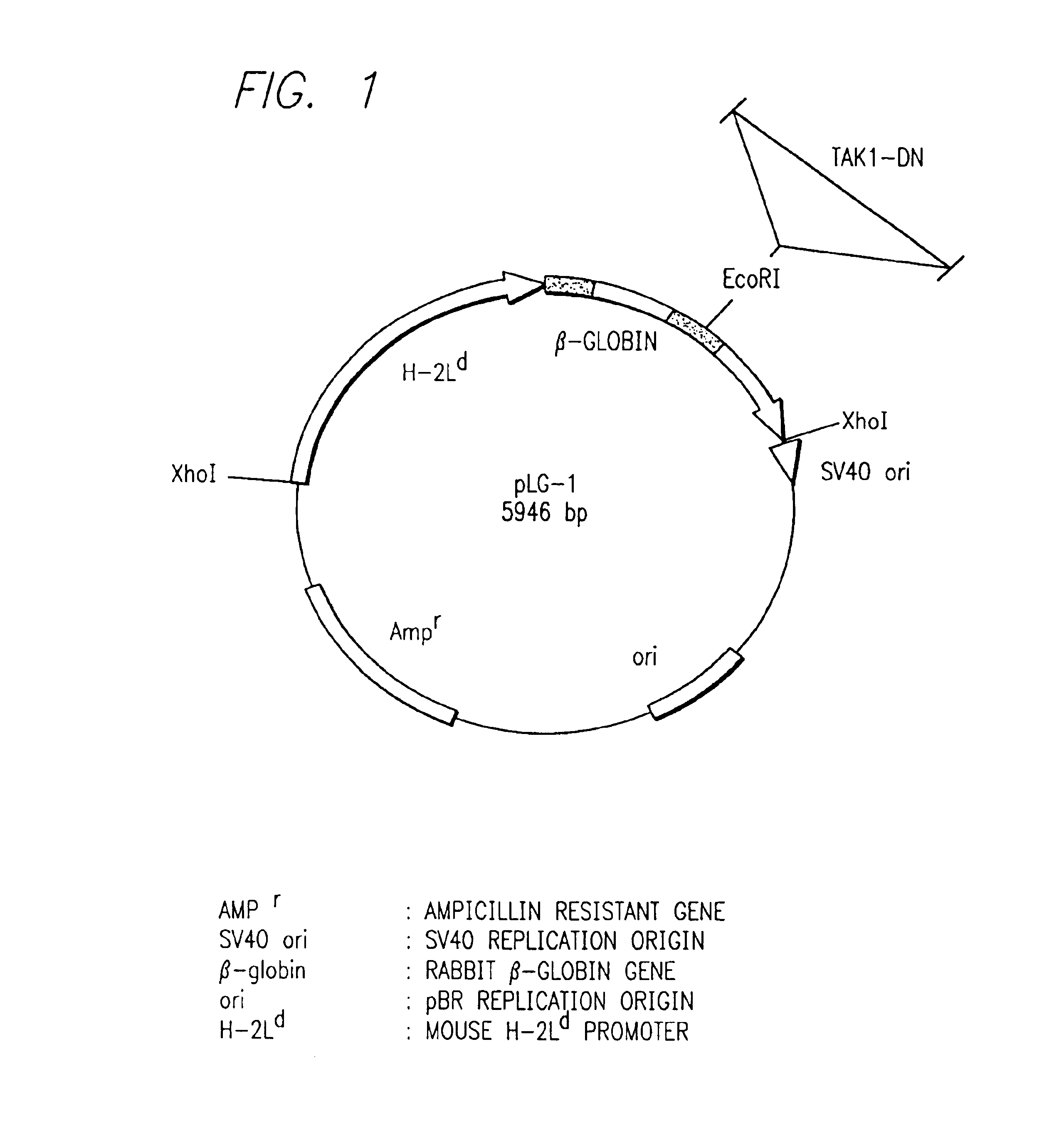 Method for screening compounds inhibiting signal transduction through inflammatory cytokines