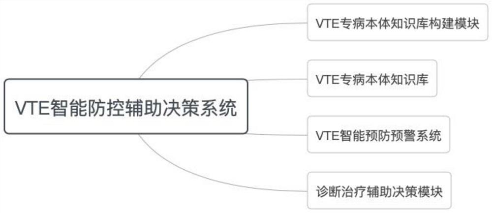 VTE intelligent prevention and control auxiliary decision-making system