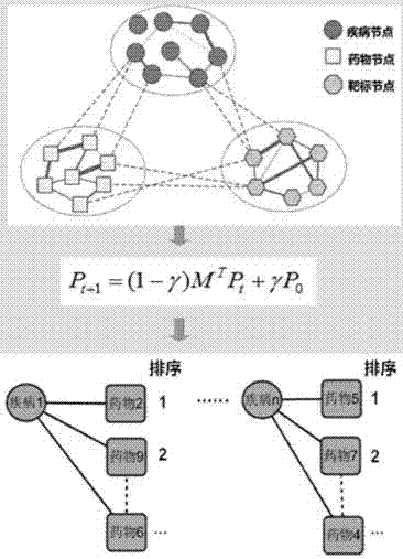 Drug repositioning method based on multi-information fusion and random walk model