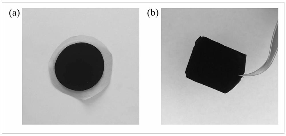 A method for preparing single-atom cluster fe-n co-doped single-walled carbon nanotube electrocatalytic thin film electrode