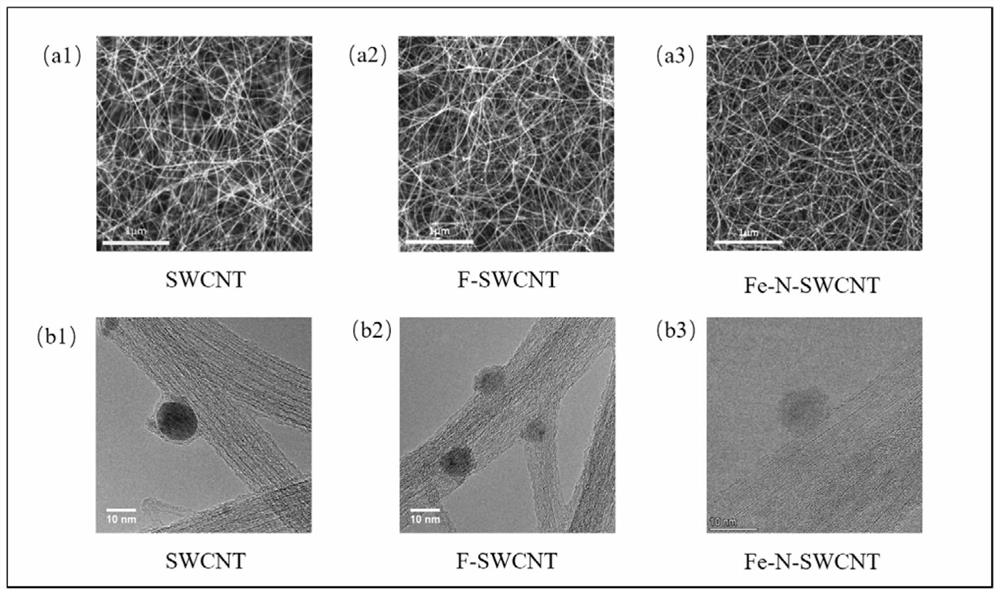 A method for preparing single-atom cluster fe-n co-doped single-walled carbon nanotube electrocatalytic thin film electrode