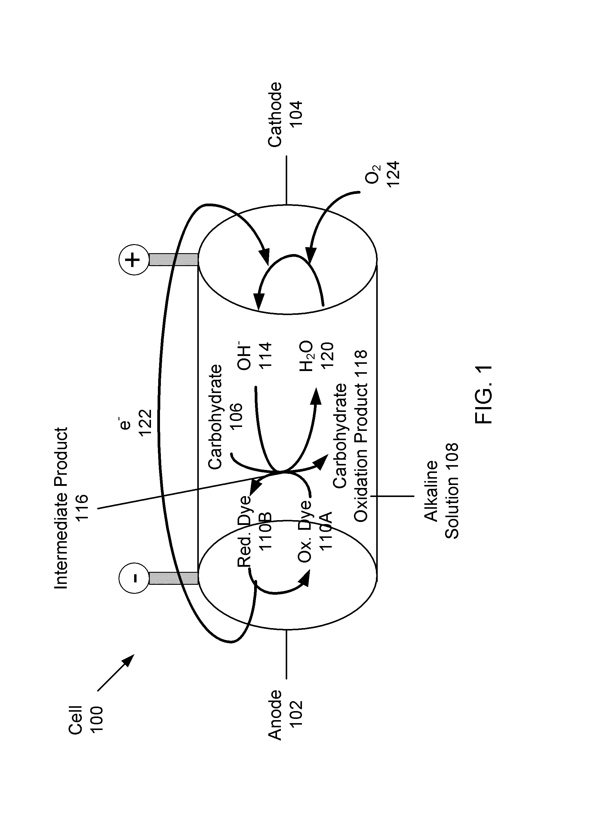 Systems and methods for carbohydrate detection