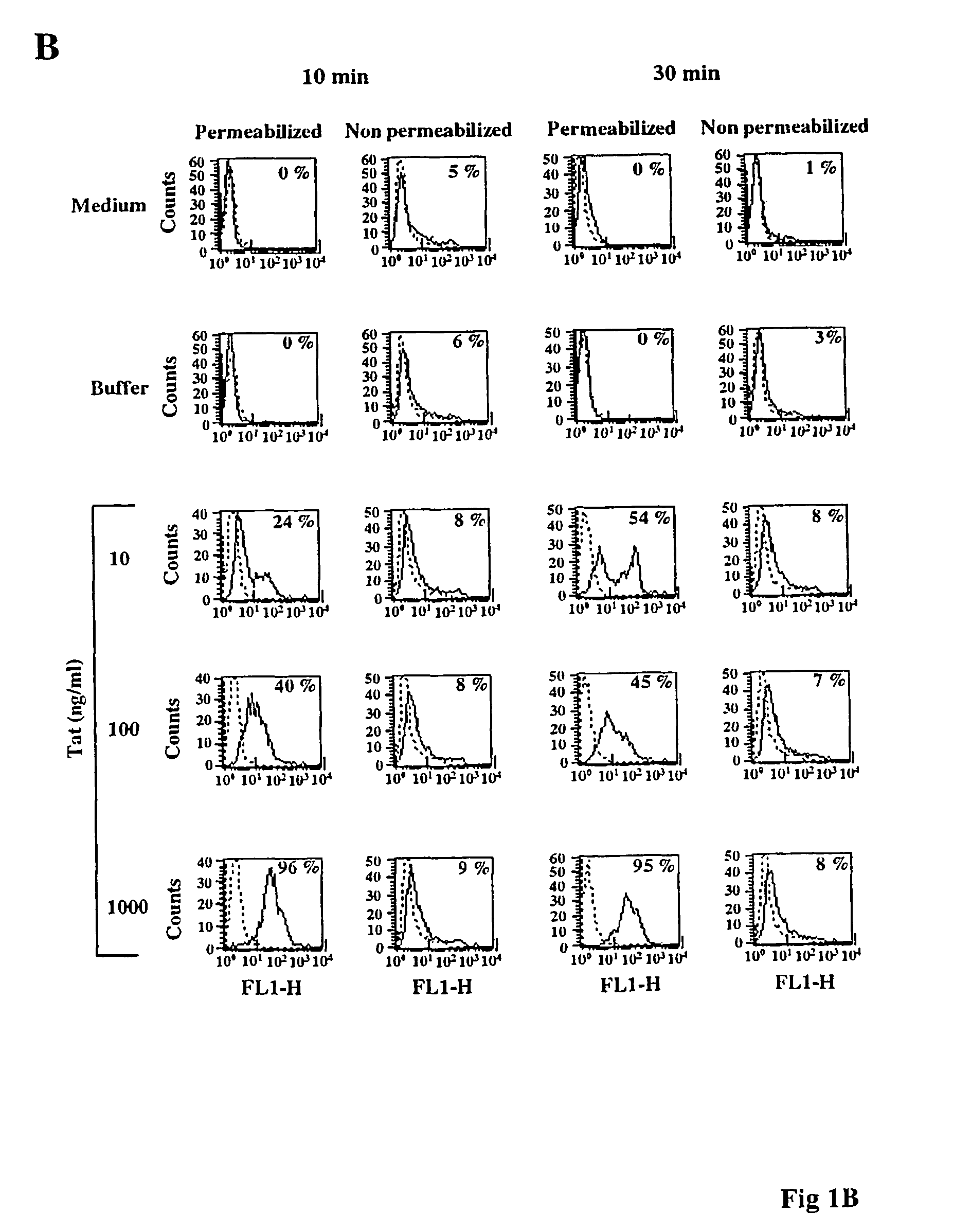 Compositions of antigens bound to HIV-1 Tat, fragments or derivatives thereof