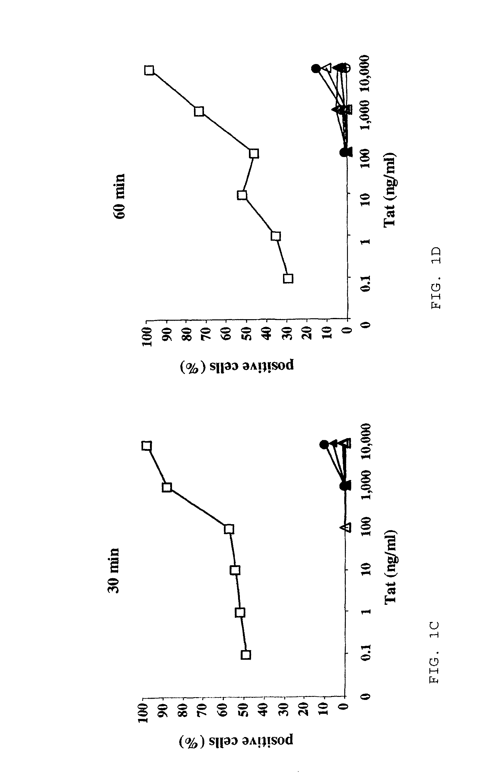 Compositions of antigens bound to HIV-1 Tat, fragments or derivatives thereof