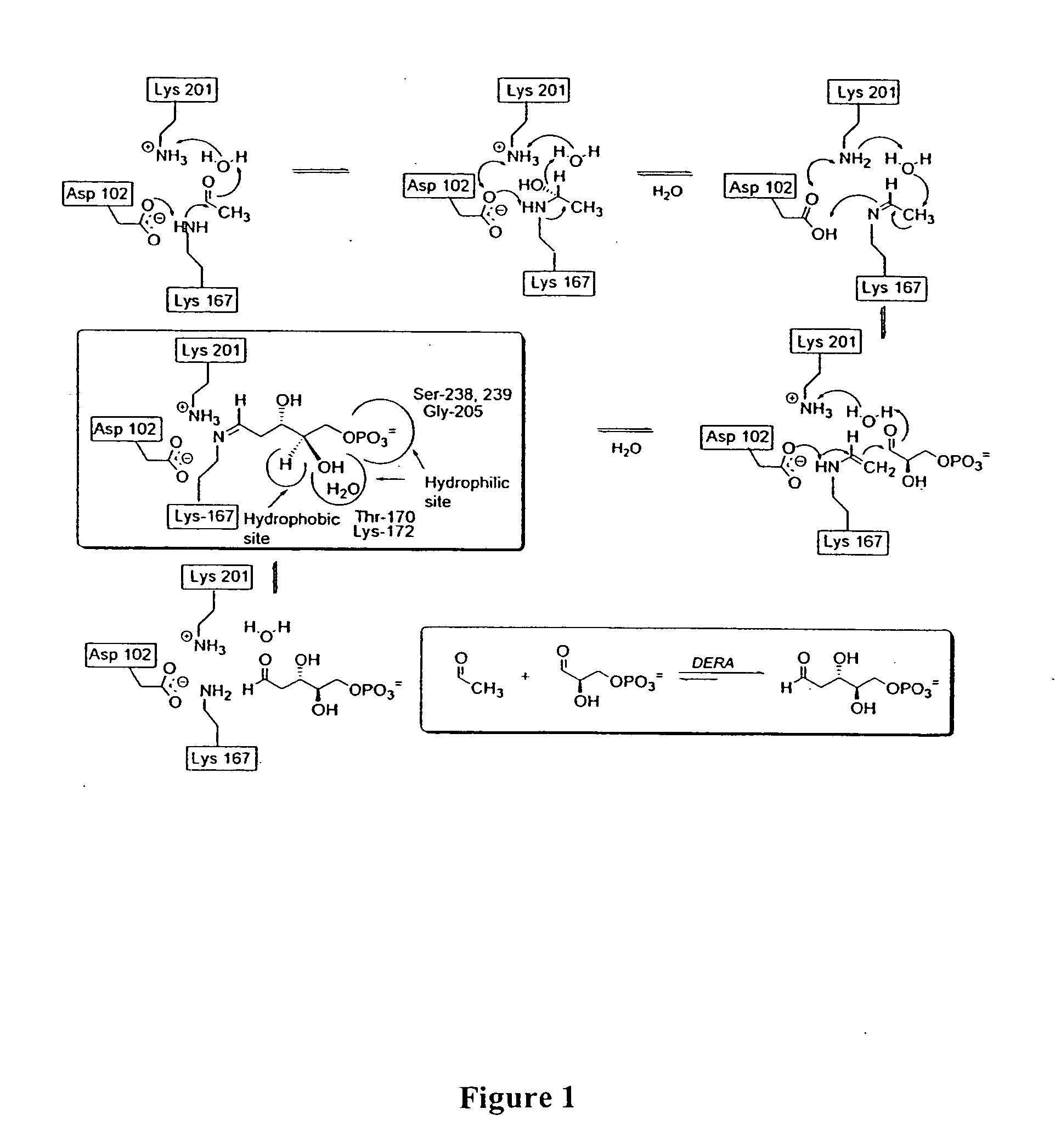 Synthesis of synthons for the manufacture of bioactive compounds