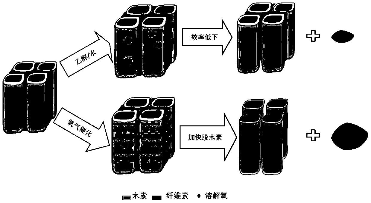 Method for coarse refining of lignin in straws by catalyzing ethanol with oxygen and application of method