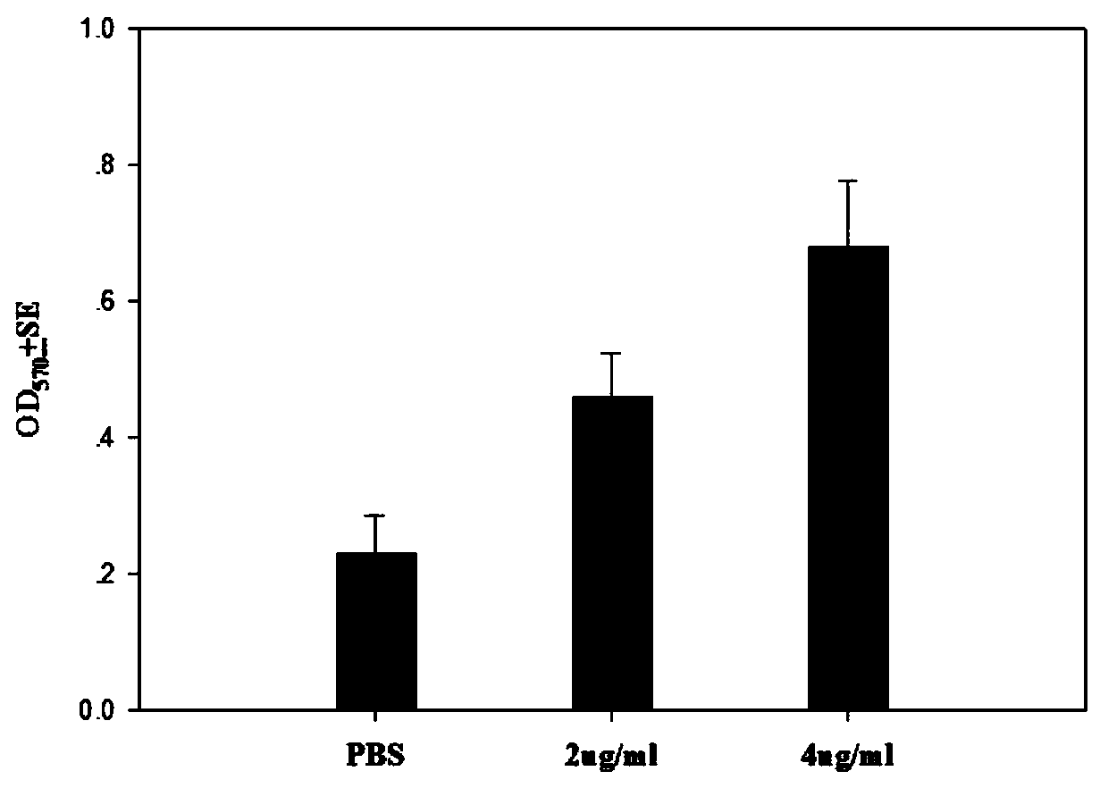 A kind of immunomodulatory polypeptide and its preparation method and application