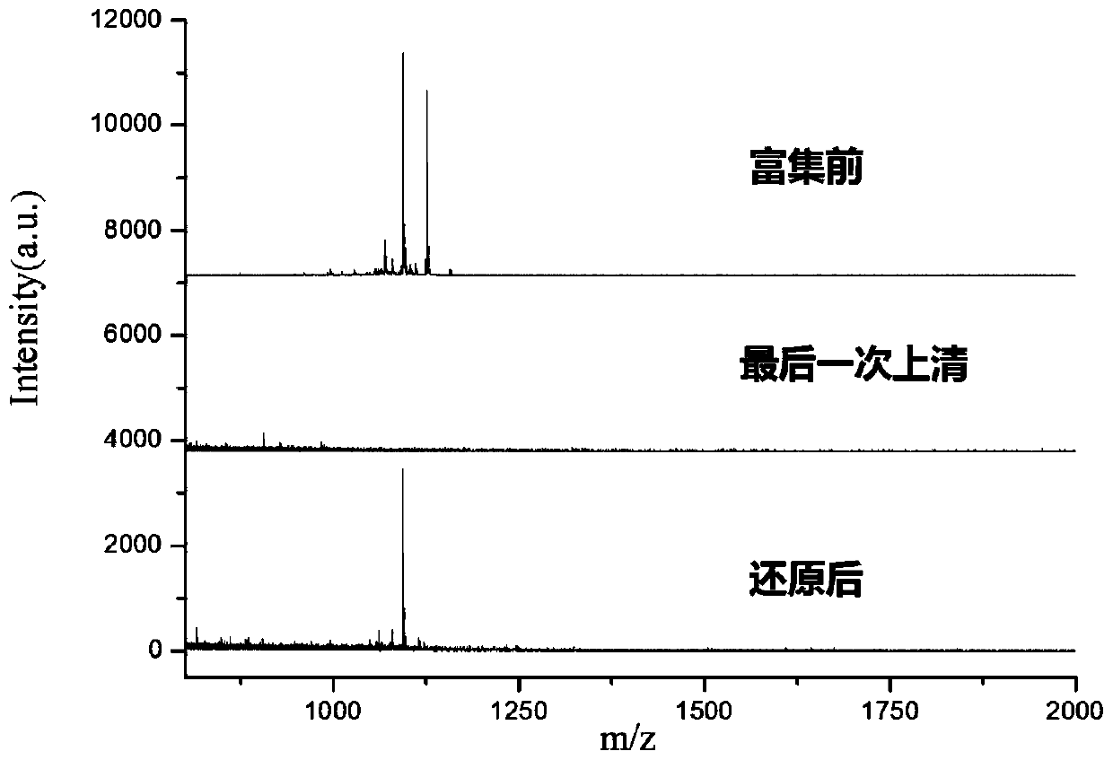 A Qualitative and Quantitative Method for Thiothiolated Post-translationally Modified Peptides