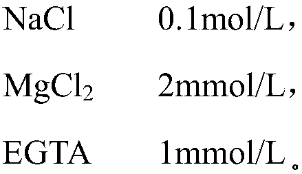 Method for preparing modified protein from freshwater minced fillet rinsing water and application of modified protein