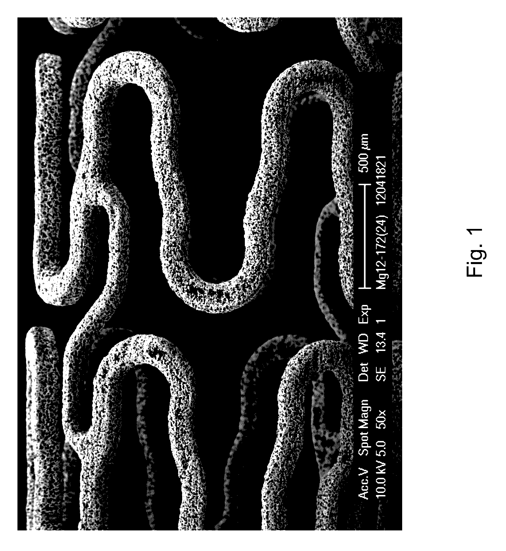 Microstructured absorbable implant