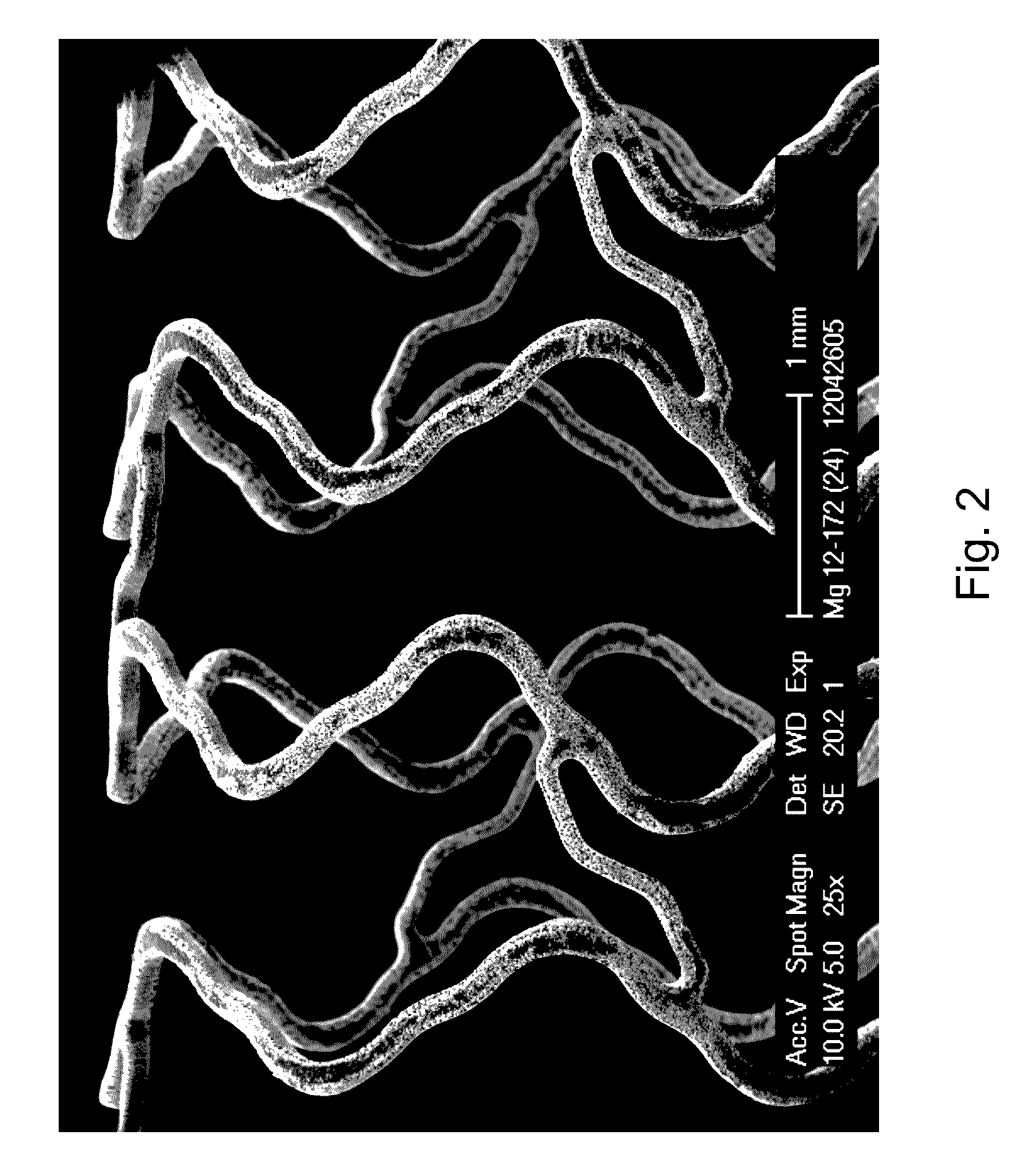 Microstructured absorbable implant