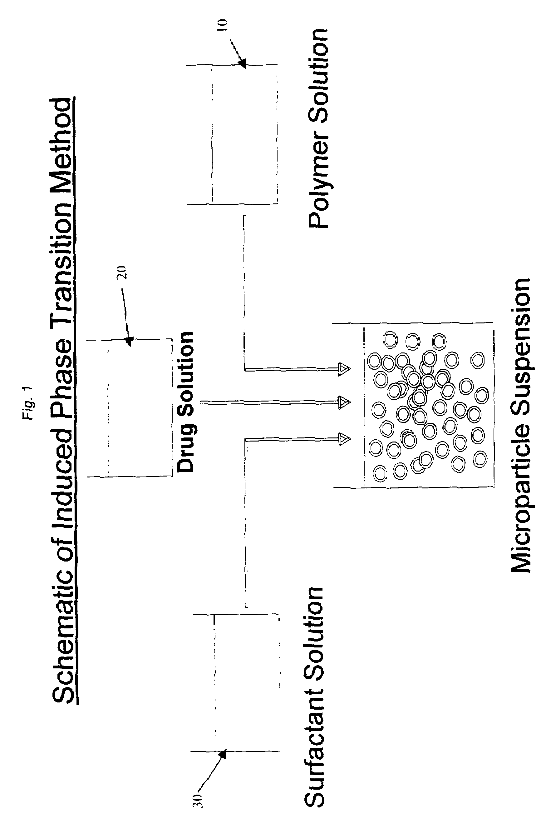 Induced phase transition method for the production of microparticles containing hydrophilic active agents