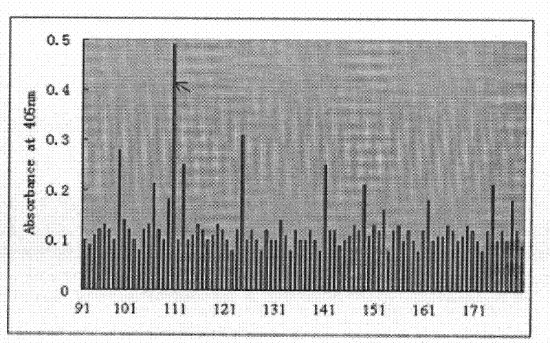 Human genetic engineering antibody TRD 109 as well as preparation method and application thereof