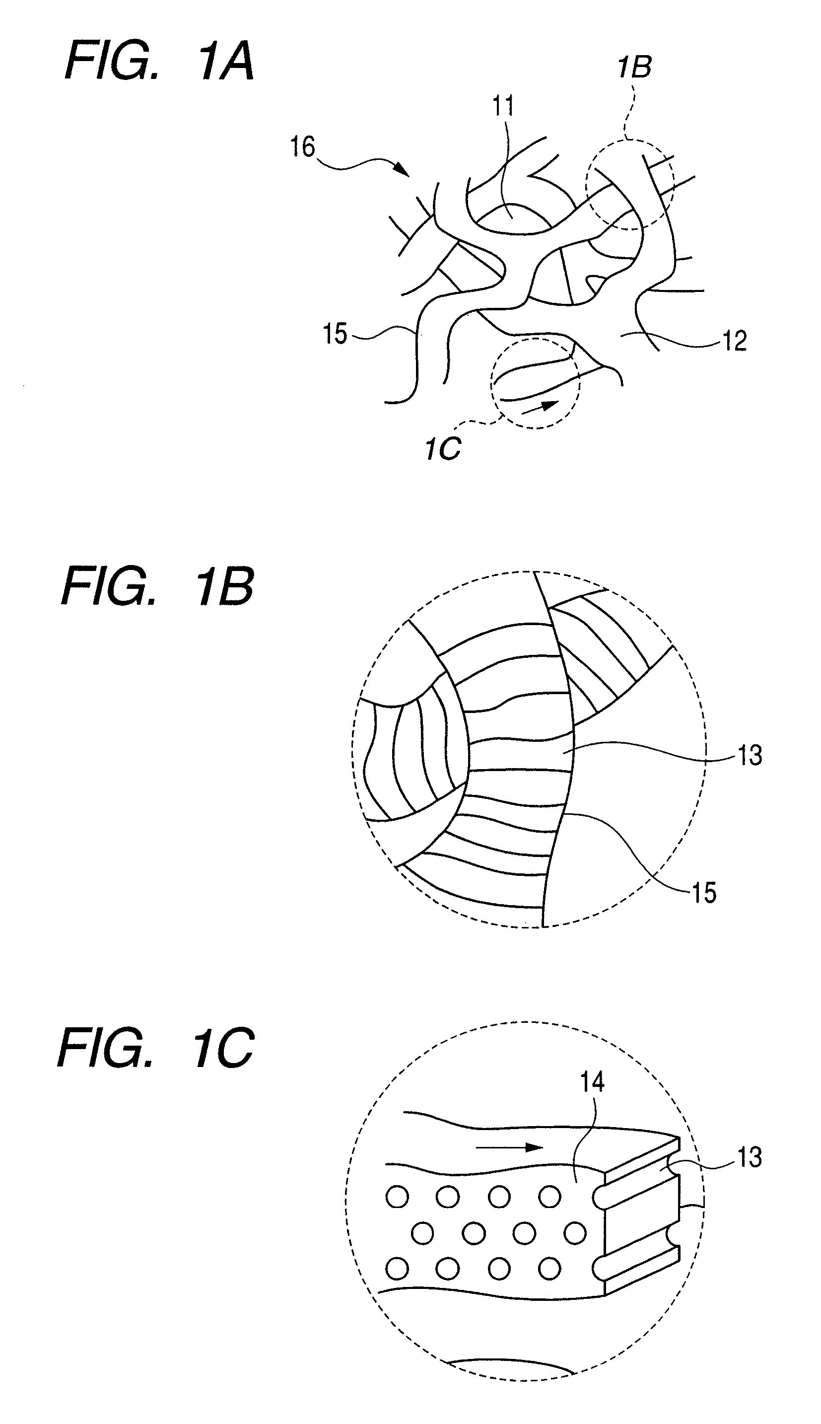 Protein-immobilized carrier