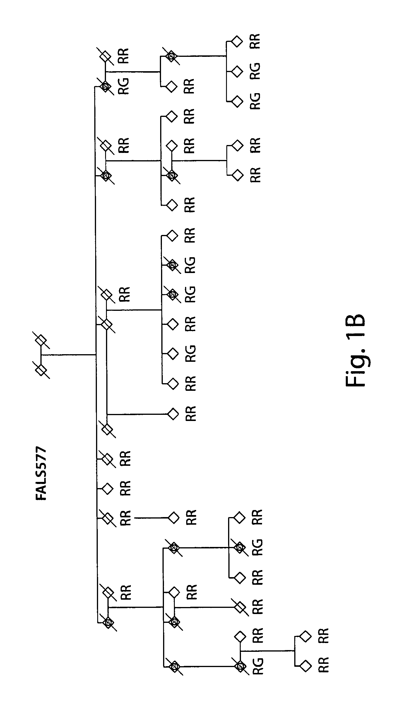 Fus/tls-based compounds and methods for diagnosis, treatment and prevention of amyotrophic lateral sclerosis and related motor neuron diseases