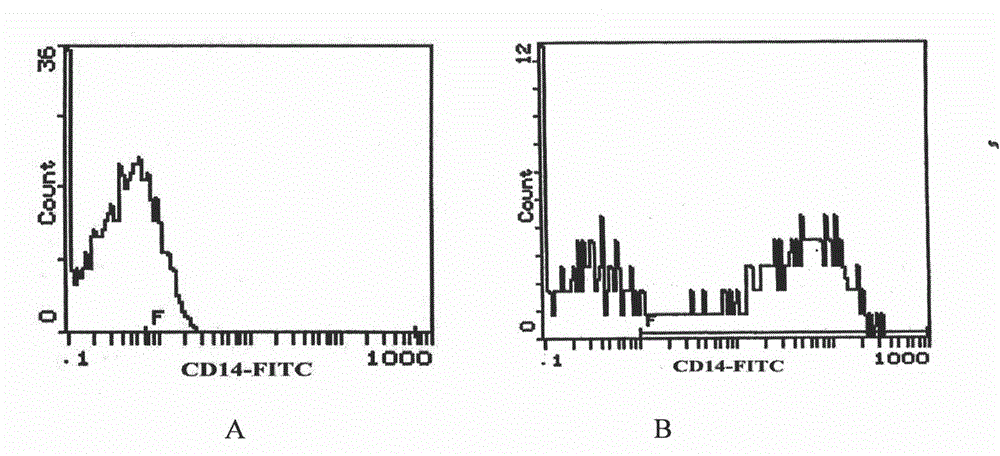 Preparation method of DCs, and application of DCs in preparing anti-tumor cell preparation