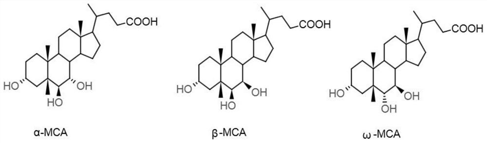 Preparation method of alpha-murine cholic acid