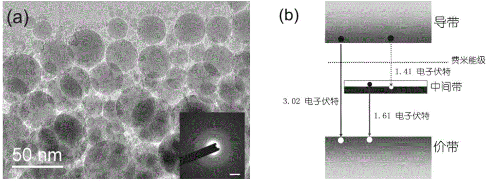 Titanium dioxide nanoparticle with wide-spectrum absorption intermediate band and preparation method and applications thereof
