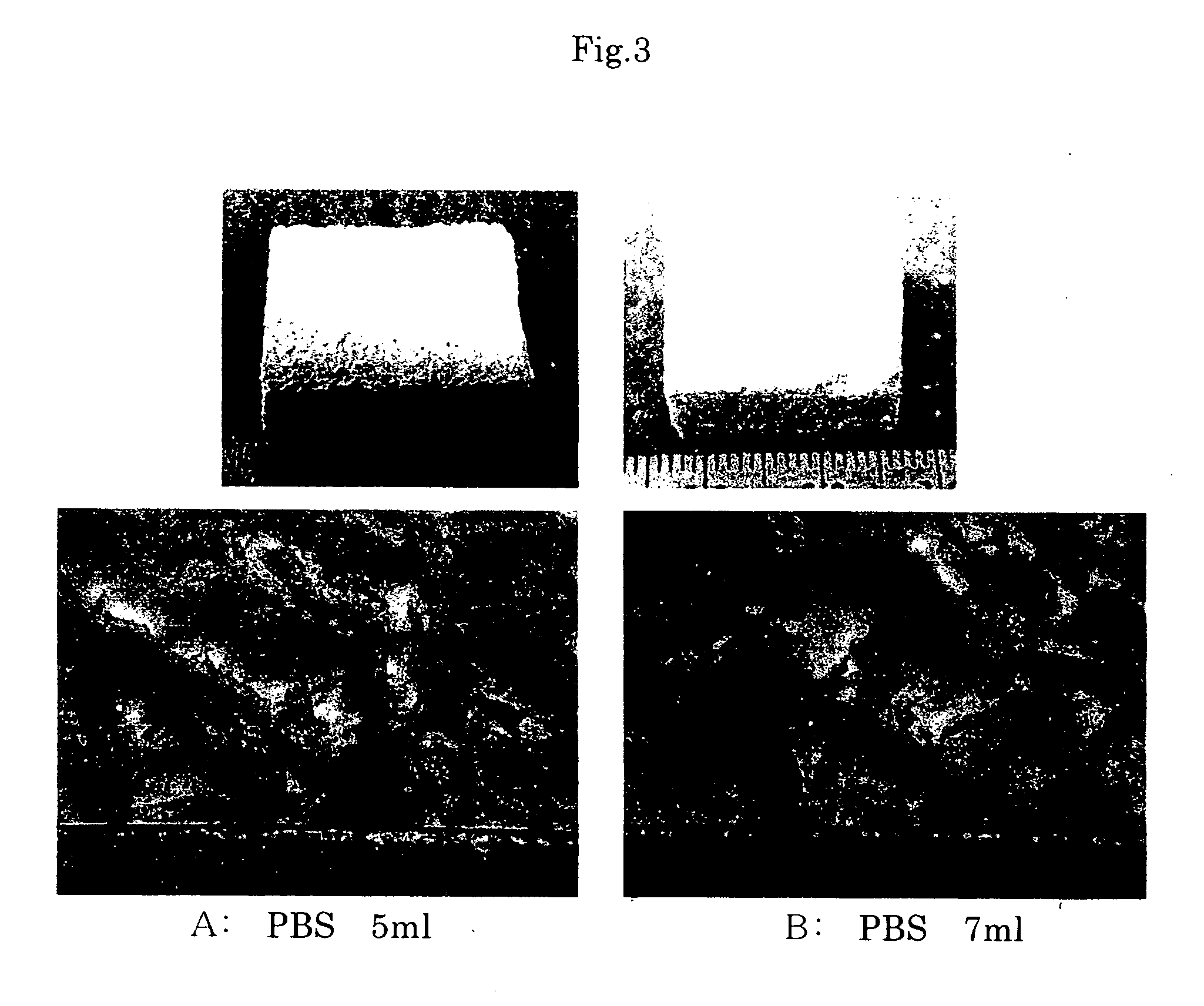 Method for preparing porous composite material